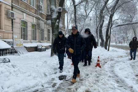 Коммунальщики за сутки совершили более ста выездов по упавшим деревьям: мэр Одессы просит горожан набраться терпения