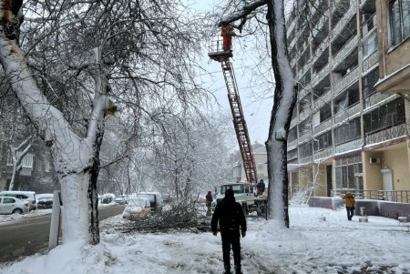 Коммунальщики за сутки совершили более ста выездов по упавшим деревьям: мэр Одессы просит горожан набраться терпения