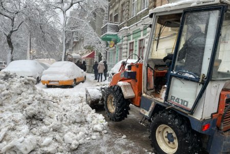 Коммунальщики за сутки совершили более ста выездов по упавшим деревьям: мэр Одессы просит горожан набраться терпения