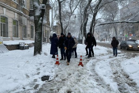 Коммунальщики за сутки совершили более ста выездов по упавшим деревьям: мэр Одессы просит горожан набраться терпения
