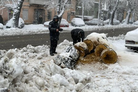 Коммунальщики за сутки совершили более ста выездов по упавшим деревьям: мэр Одессы просит горожан набраться терпения