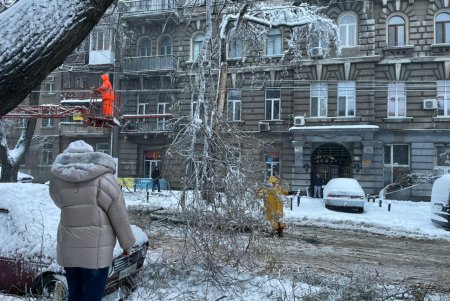 Коммунальщики за сутки совершили более ста выездов по упавшим деревьям: мэр Одессы просит горожан набраться терпения