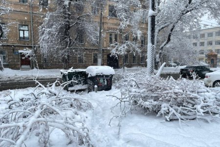 Коммунальщики за сутки совершили более ста выездов по упавшим деревьям: мэр Одессы просит горожан набраться терпения
