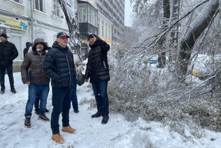 Коммунальщики за сутки совершили более ста выездов по упавшим деревьям: мэр Одессы просит горожан набраться терпения