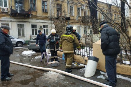 При тушении пожара в Воронцовском переулке спасли кота (фото)