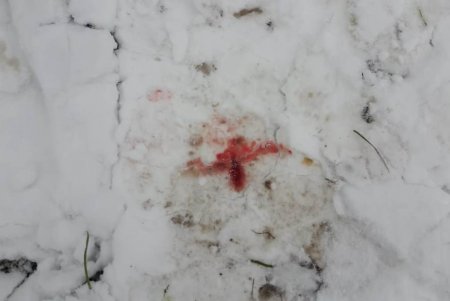 В Подольском районе мужчина избил ногами односельчанина до смерти и бросил тело на кладбище (фото, видео)