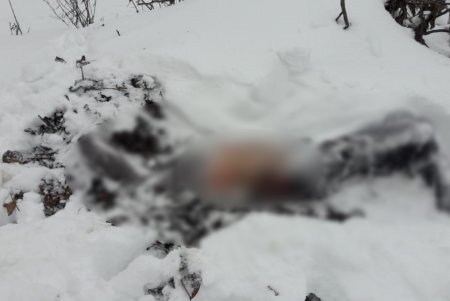В Подольском районе мужчина избил ногами односельчанина до смерти и бросил тело на кладбище (фото, видео)