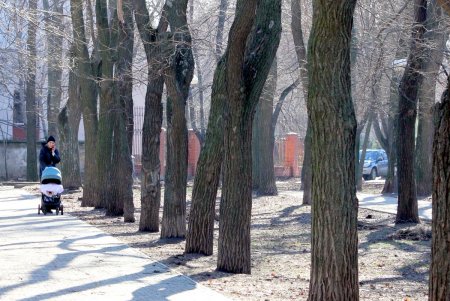 Место для прогулок – парк Космонавтов (фоторепортаж)