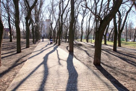 Место для прогулок – парк Космонавтов (фоторепортаж)