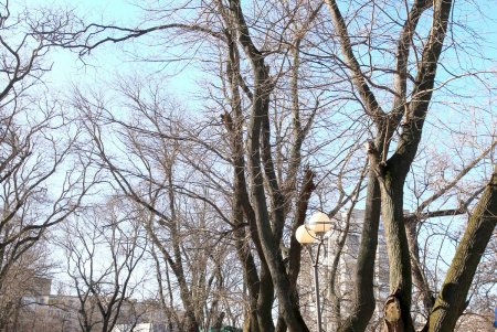 Место для прогулок – парк Космонавтов (фоторепортаж)