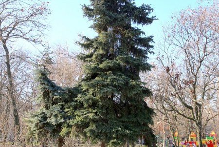 Место для прогулок – парк Космонавтов (фоторепортаж)