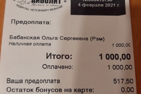 Одесские зоозащитники спасли в Тарутино собаку, которую хозяева оставили на цепи без еды и воды (фото, видео)