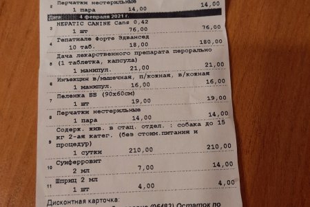 Одесские зоозащитники спасли в Тарутино собаку, которую хозяева оставили на цепи без еды и воды (фото, видео)