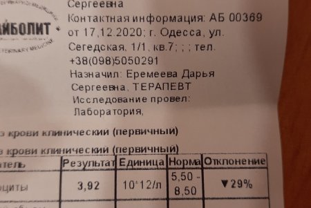 Одесские зоозащитники спасли в Тарутино собаку, которую хозяева оставили на цепи без еды и воды (фото, видео)