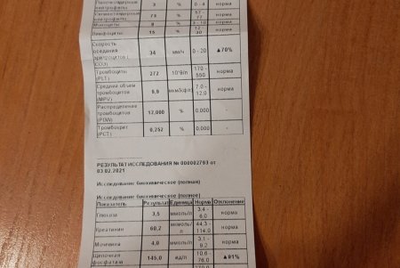 Одесские зоозащитники спасли в Тарутино собаку, которую хозяева оставили на цепи без еды и воды (фото, видео)