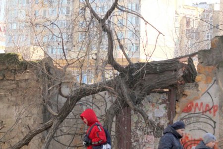 Улица Армейская: административные здания, жилые дома и одноименный сквер (фоторепортаж)