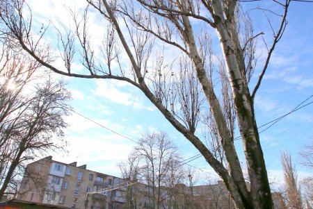 Улица Армейская: административные здания, жилые дома и одноименный сквер (фоторепортаж)
