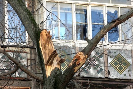 Улица Армейская: административные здания, жилые дома и одноименный сквер (фоторепортаж)