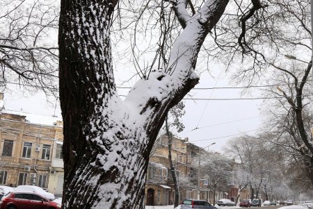 Одессу снова накрыло белой пеленой (фоторепортаж)