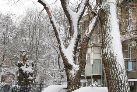 Одессу снова накрыло белой пеленой (фоторепортаж)