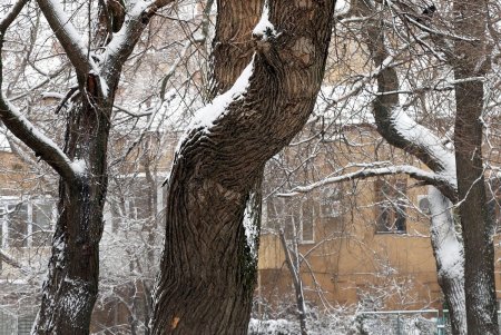 Одессу снова накрыло белой пеленой (фоторепортаж)