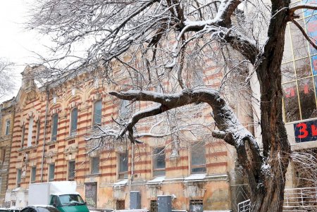 Одессу снова накрыло белой пеленой (фоторепортаж)