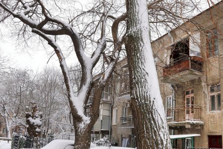 Одессу снова накрыло белой пеленой (фоторепортаж)