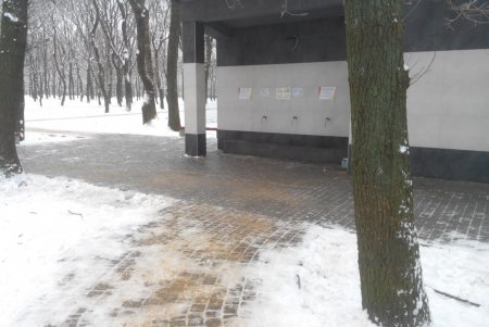 Глава департамента городского хозяйства: «Мы справимся с непогодой до вечера» (видеокомментарий, фото)