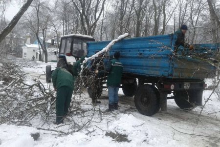 Борьба с непогодой: коммунальщики убирают тротуары и межквартальные проезды, распиливают упавшие деревья и ветки (фото)