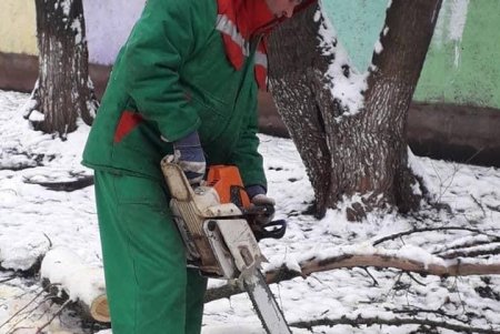 Коммунальщики убирают поваленные стихией деревья и сломанные ветви (фоторепортаж)