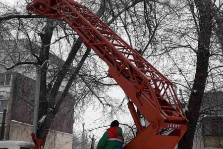 Коммунальщики убирают поваленные стихией деревья и сломанные ветви (фоторепортаж)