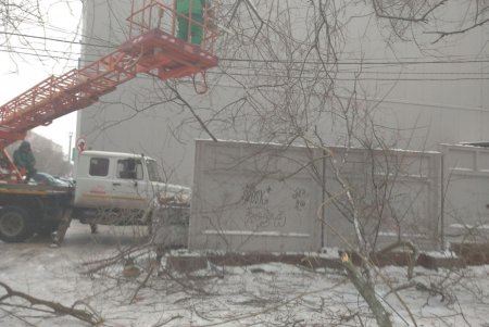 Коммунальщики убирают поваленные стихией деревья и сломанные ветви (фоторепортаж)
