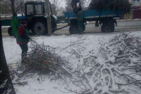 Коммунальщики убирают поваленные стихией деревья и сломанные ветви (фоторепортаж)