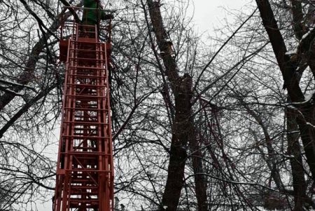 Коммунальщики убирают поваленные стихией деревья и сломанные ветви (фоторепортаж)