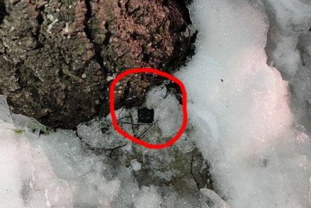 В Малиновском районе закладчик с метадоном пытался сбежать от патрульных (фото)