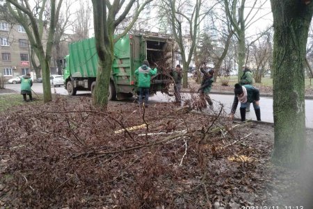Ежедневно 120 коммунальщиков приводят в порядок зеленые зоны города (фото)