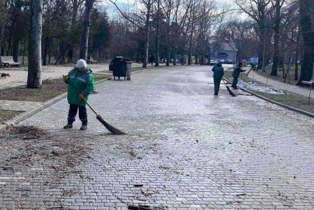 Ежедневно 120 коммунальщиков приводят в порядок зеленые зоны города (фото)