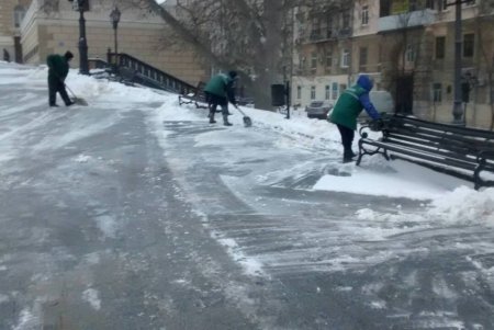 Коммунальщики оперативно избавили Одессу от последствий Южного циклона (фото, видео) 