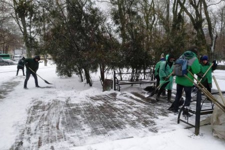 Коммунальщики оперативно избавили Одессу от последствий Южного циклона (фото, видео) 