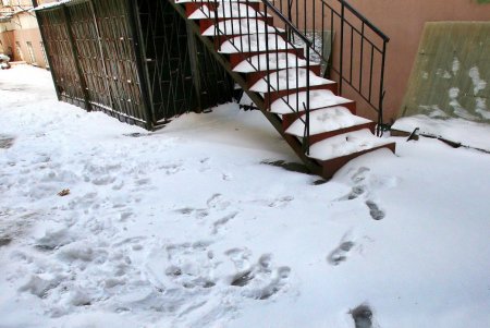 Старинные здания и новые высотки улицы Юрия Олеши (фоторепортаж)