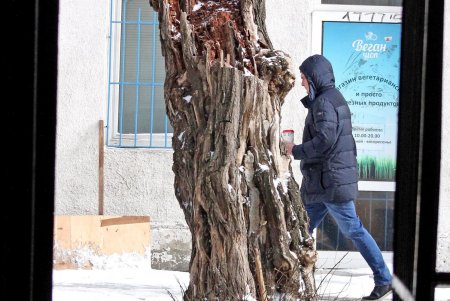 Старинные здания и новые высотки улицы Юрия Олеши (фоторепортаж)