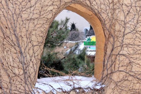 Прогулка по зимней Аркадии (фоторепортаж)