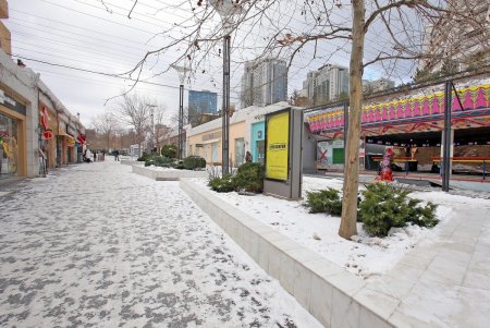 Прогулка по зимней Аркадии (фоторепортаж)