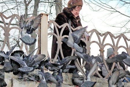 Прогулка по зимней Аркадии (фоторепортаж)