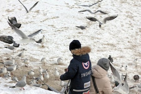 Прогулка по зимней Аркадии (фоторепортаж)