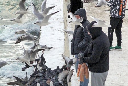 Прогулка по зимней Аркадии (фоторепортаж)