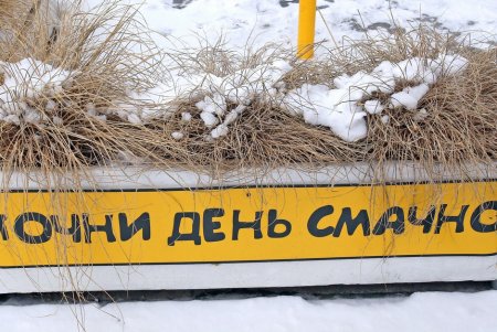Прогулка по зимней Аркадии (фоторепортаж)