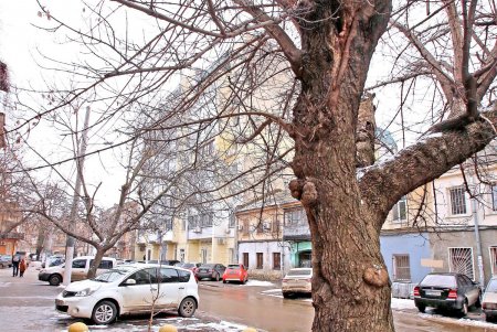 Асташкина - улица армейских складов, красных фонарей, и место убийства криминального авторитета (фоторепортаж)