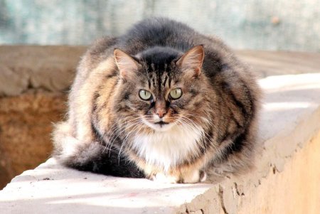 Улица Южная — сердце Молдаванки (фоторепортаж)