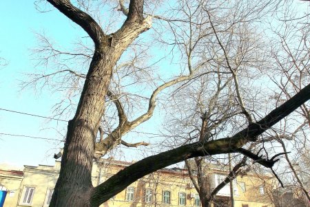 Улица Южная — сердце Молдаванки (фоторепортаж)